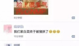 林俊杰女友爆料视频大全,甜蜜瞬间与幕后故事大揭秘