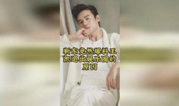 娱乐圈最新爆料王凯小说,与神秘美女共度良宵，小说情节再现娱乐圈